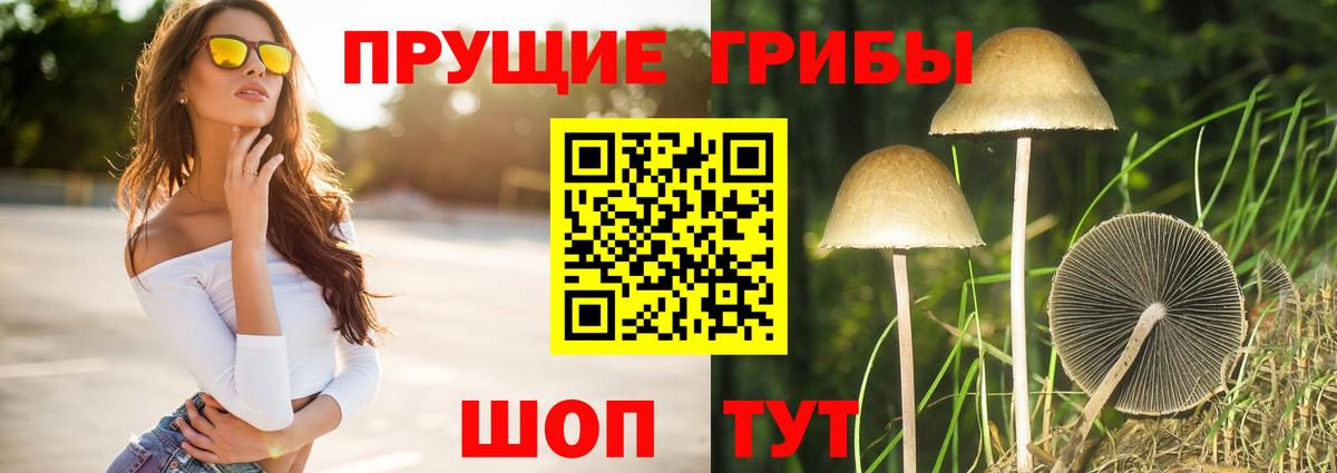 Псилоцибиновые грибы Psilocybine cubensis  Вход с VPN  Городец 